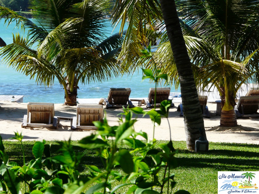 PLAGE 1