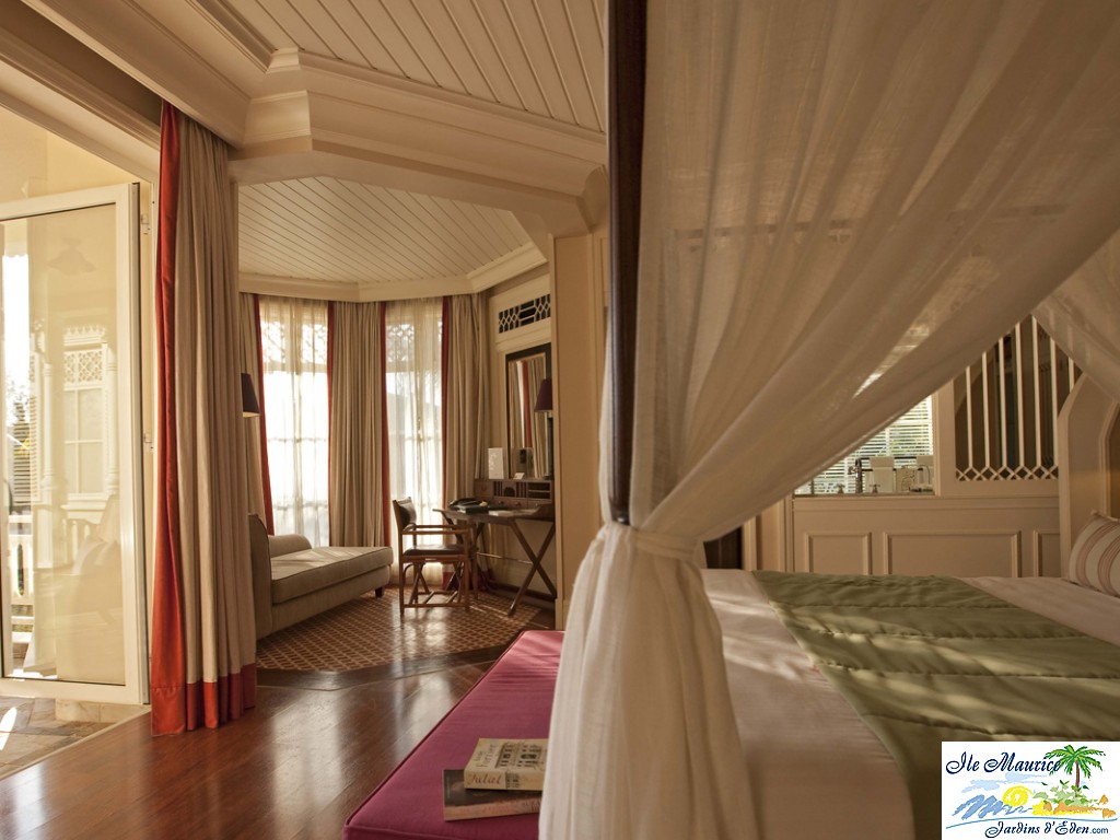 HLT Junior Suite-1