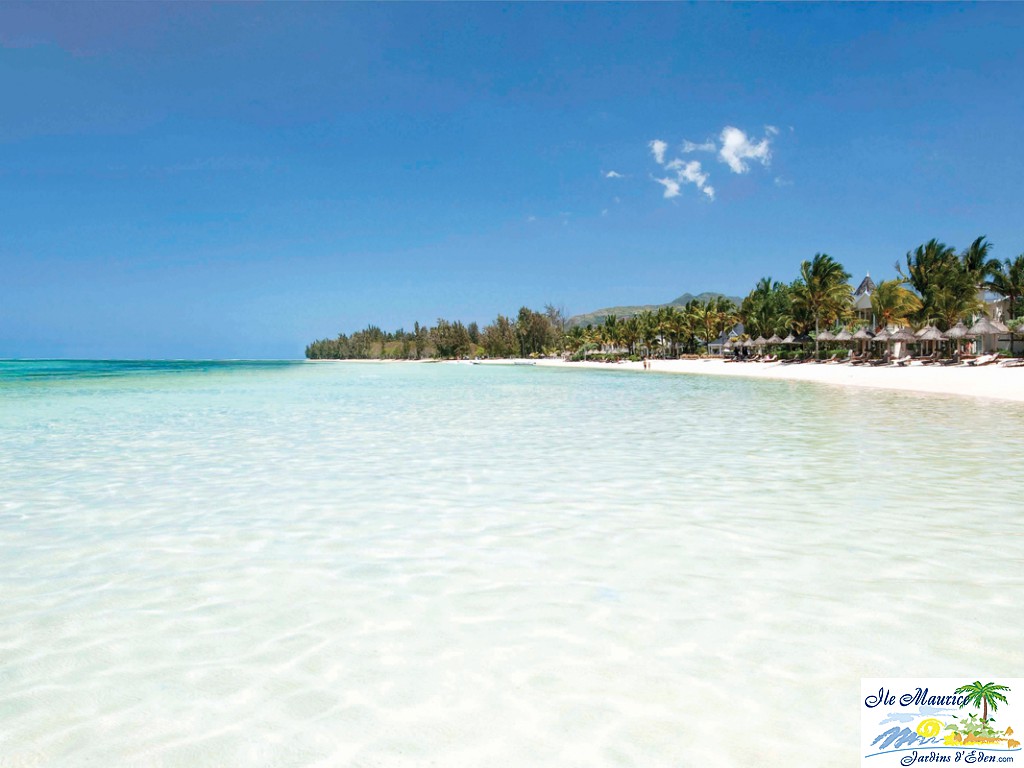 HLT PLAGE 1
