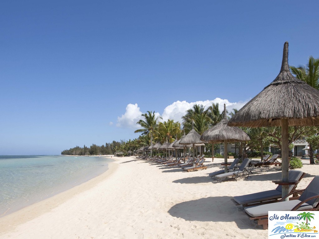 HLT PLAGE 2