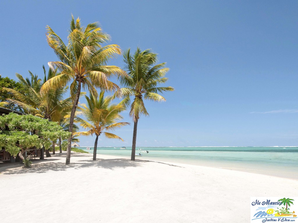 HLT PLAGE 3