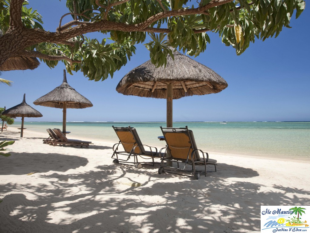 HLT PLAGE TRANSAT 2