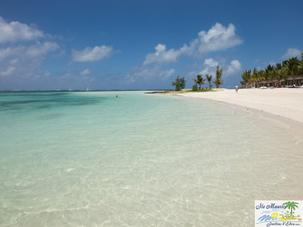 LBM_Views_Beach_04