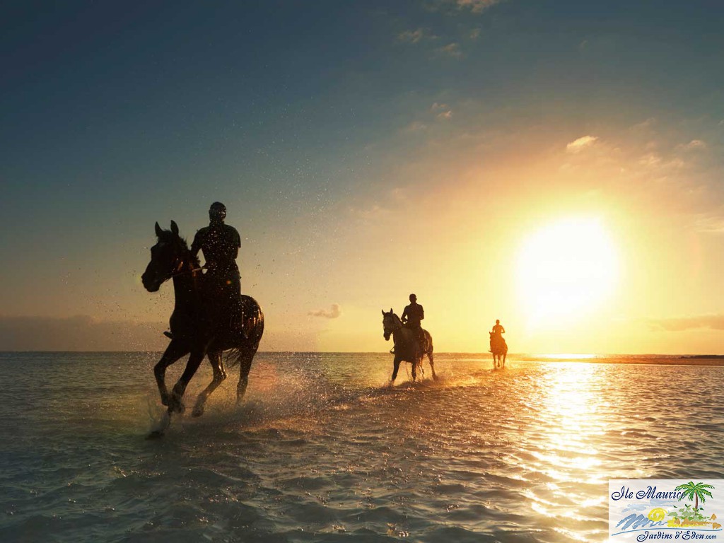 LBM-Beach-Horses