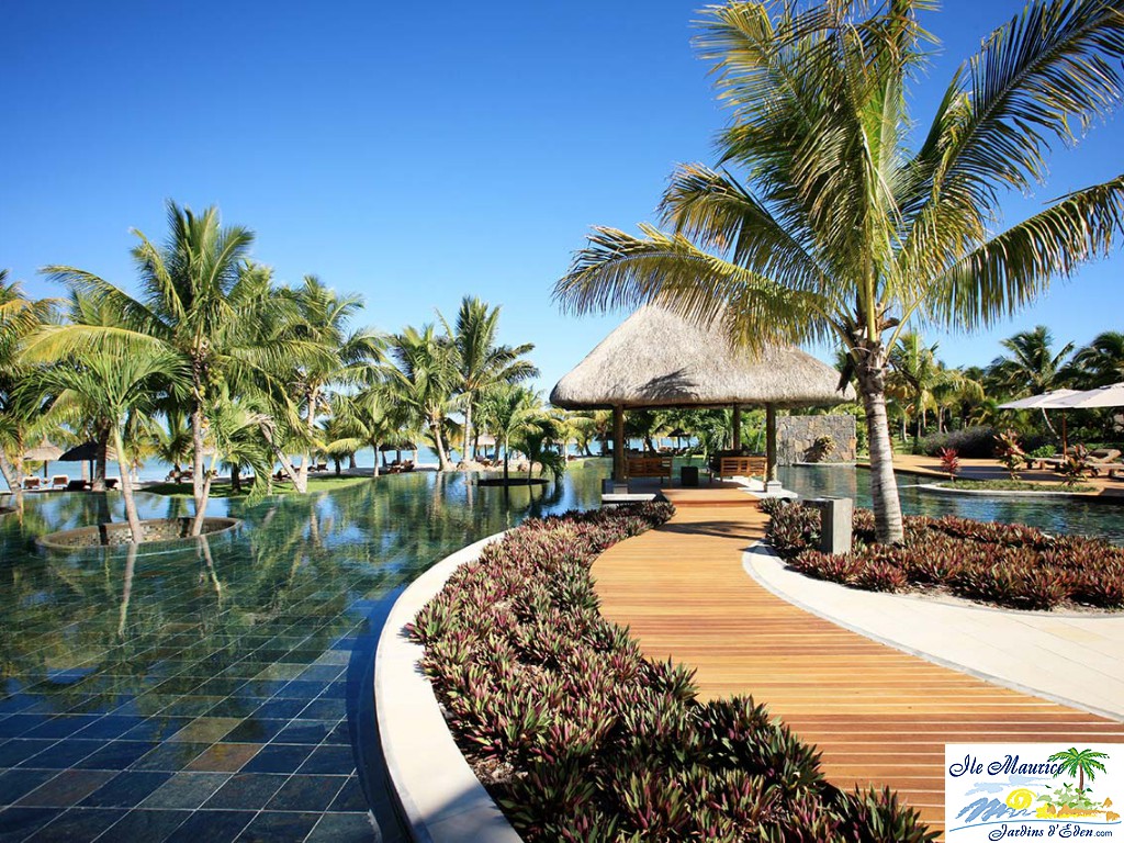 LLM_Pool_Oasis_7