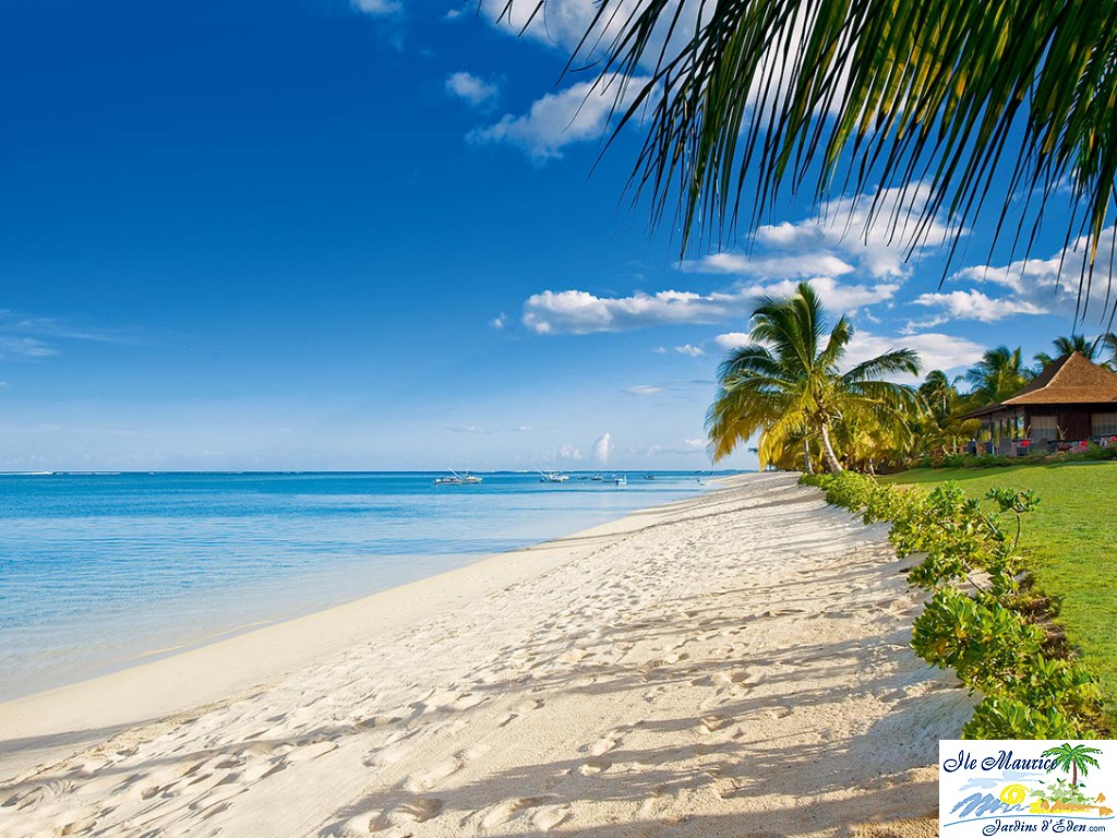 LLM_Views_Beach_2C