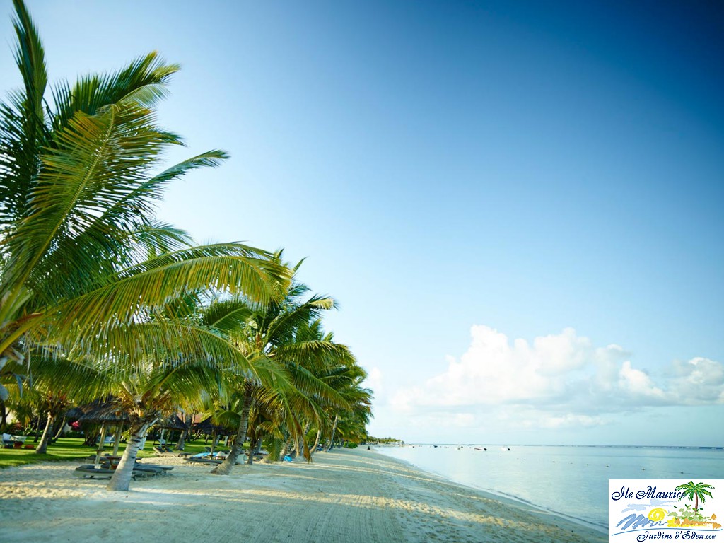 LUX-2015_10-LLM-Beach__137
