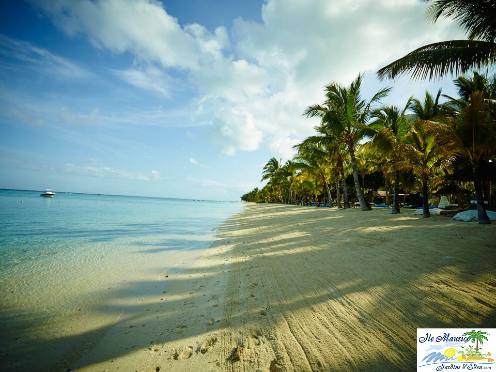 LUX-2015_10-LLM-Beach__148