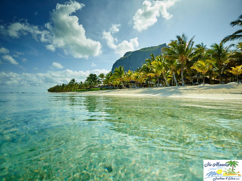 LUX-2015_10-LLM-Beach__219