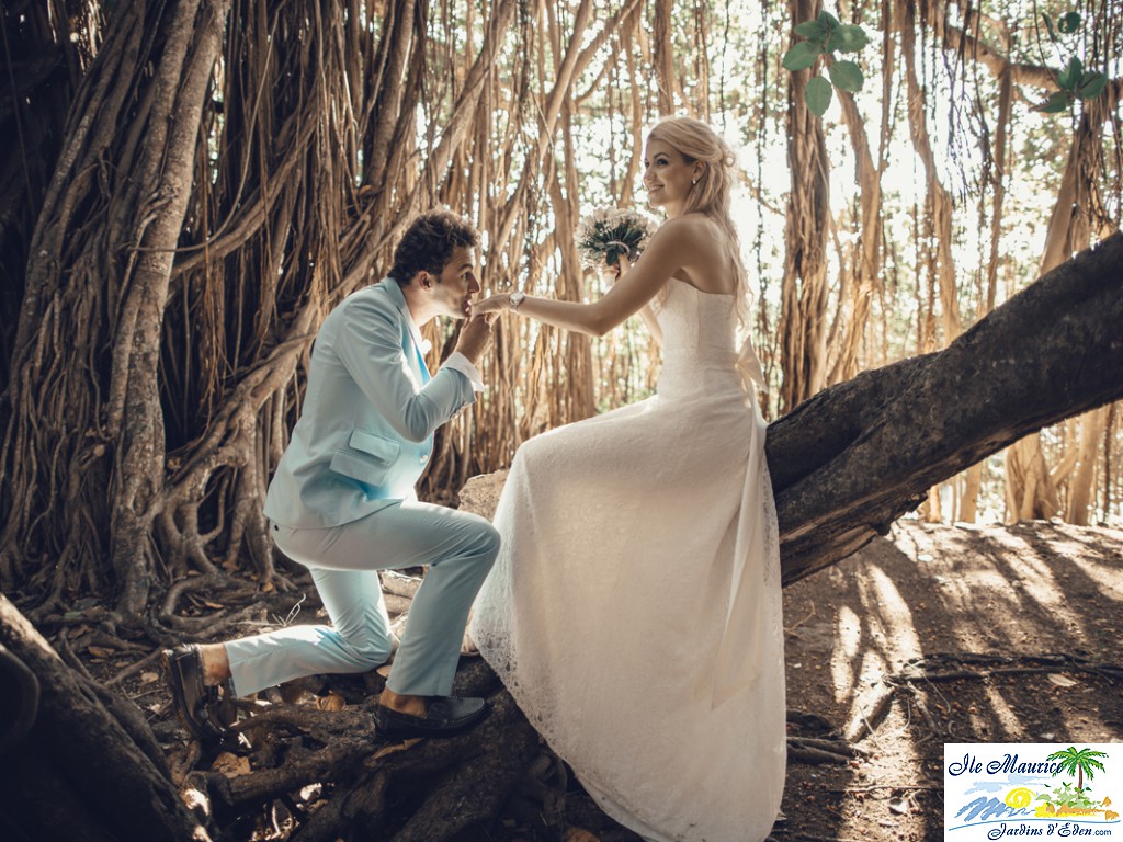 Canon 3 wedding