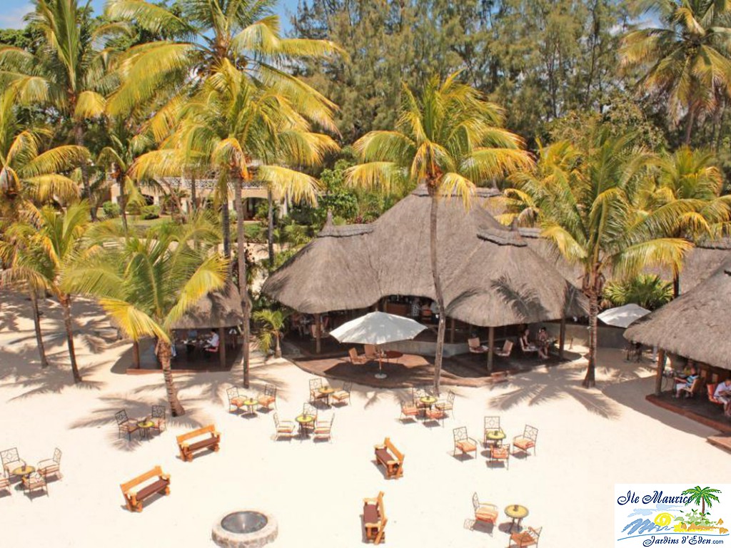 La Marée Overview