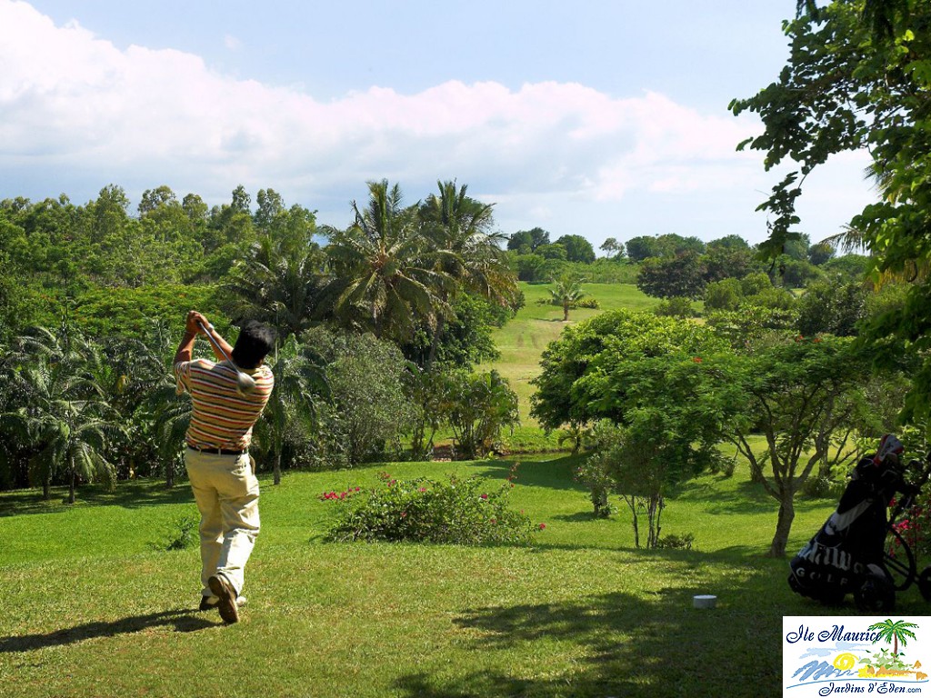 MAU_177_Golf[6876]