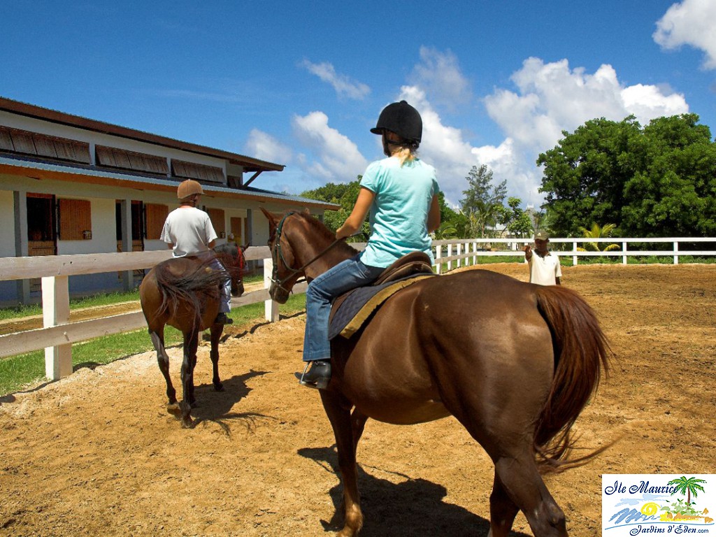 MAU_182_Horses[6874]