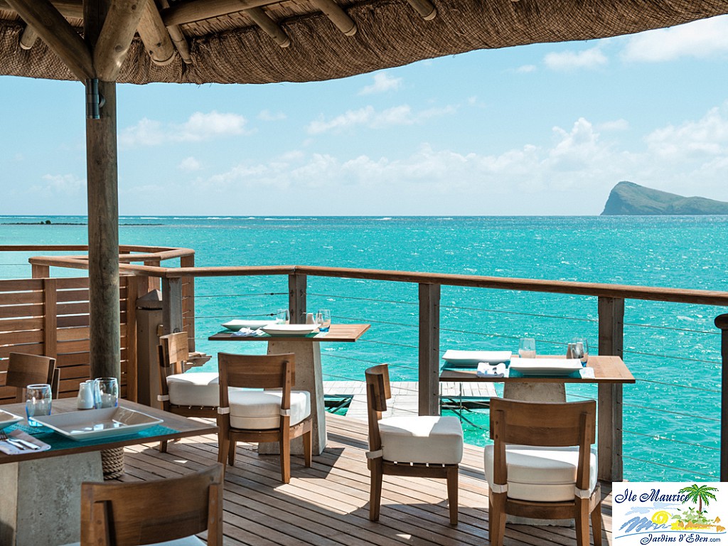 pcbh_restaurant_indigo_2