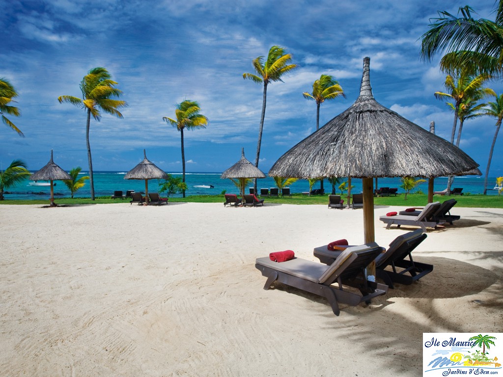 TAM_Views_Beach_1C