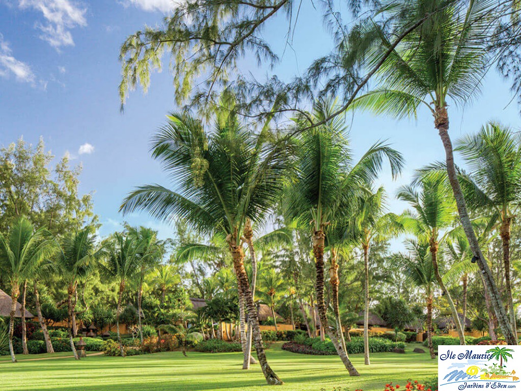tropical-garden